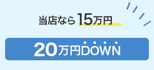 フラッグハンズなら12万円 33万円DOWN